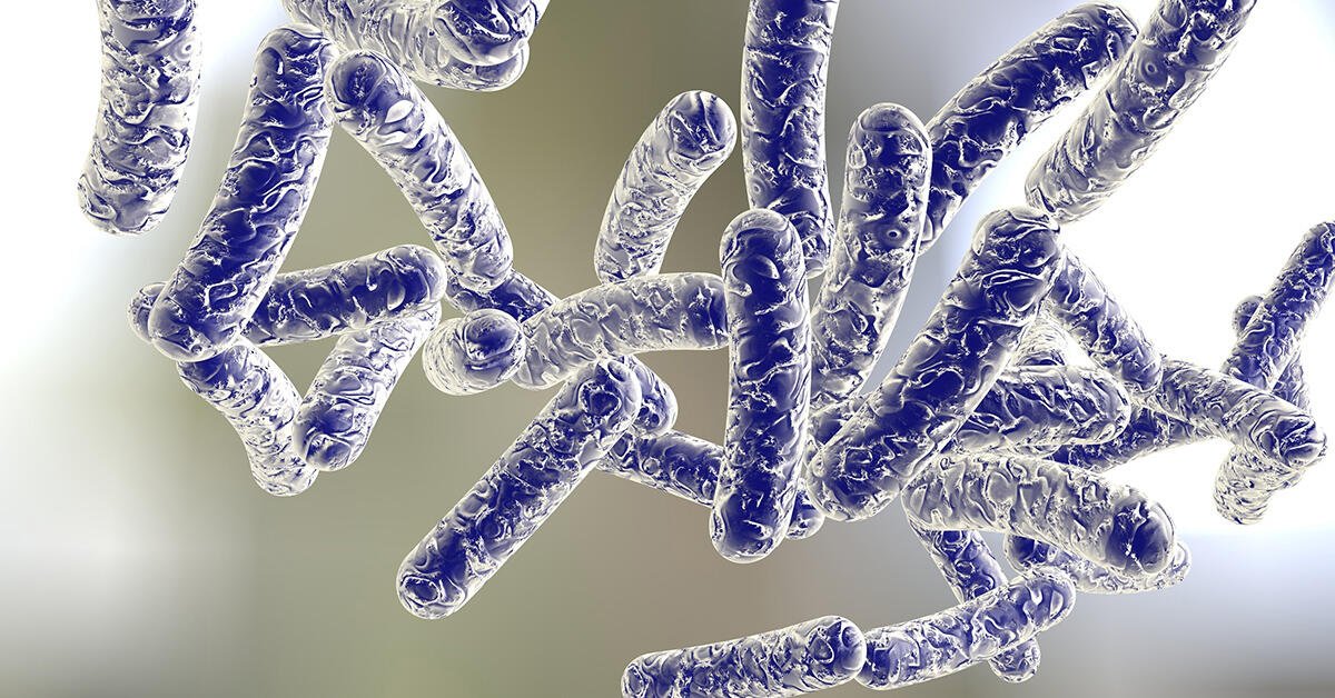 Community Cluster of Legionnaires’ Disease in and Around Central Harlem