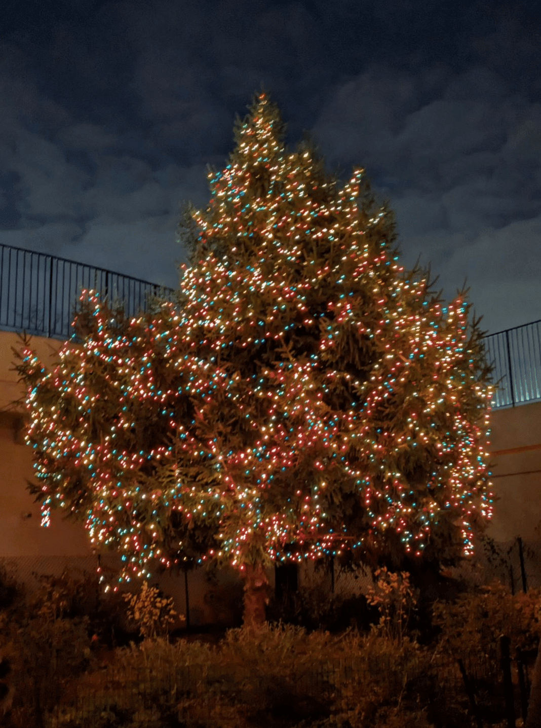 Marcus Garvey Park’s Holiday Tree